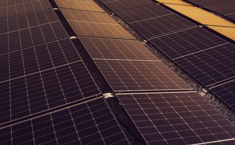 illorar la Presència Digital de la teva Empresa de Plaques Solars